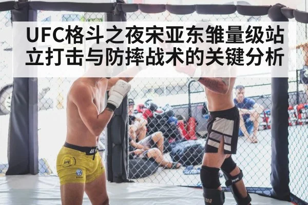 UFC格斗之夜宋亚东雏量级站立打击与防摔战术的关键分析